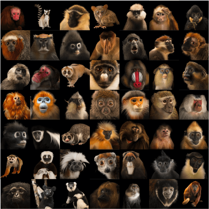 Screenshot 2020-04-04 at 22.31.18